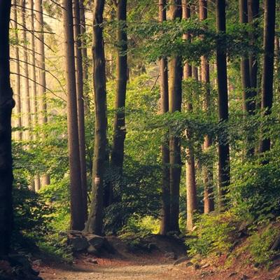 皇冠新体育手机app下载