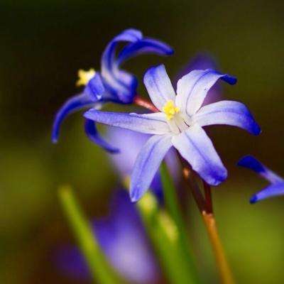 皇冠welcome下载app下载