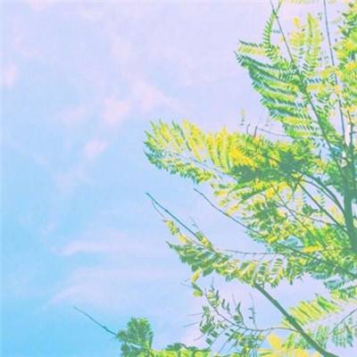 魅影快三app下载安装手机版截图