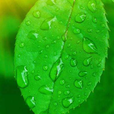 宝威体育app下载